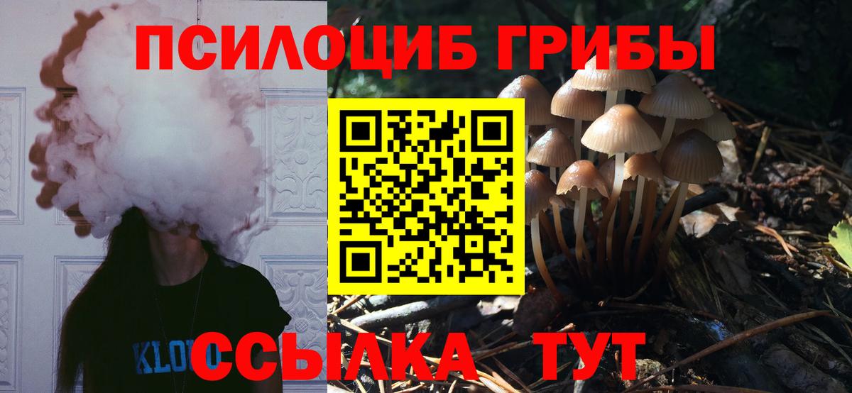 Псилоцибиновые грибы Magic Shrooms  Вход с VPN  Советск 